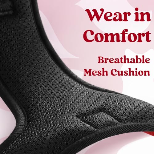 Dog Harness Medium Sized (Medium / Red)