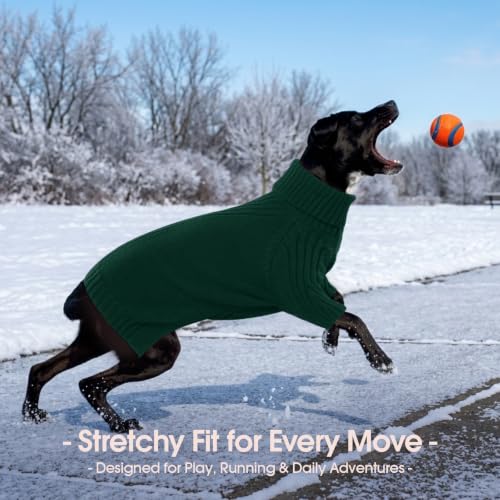 Small Dog Sweater (Green / Large)