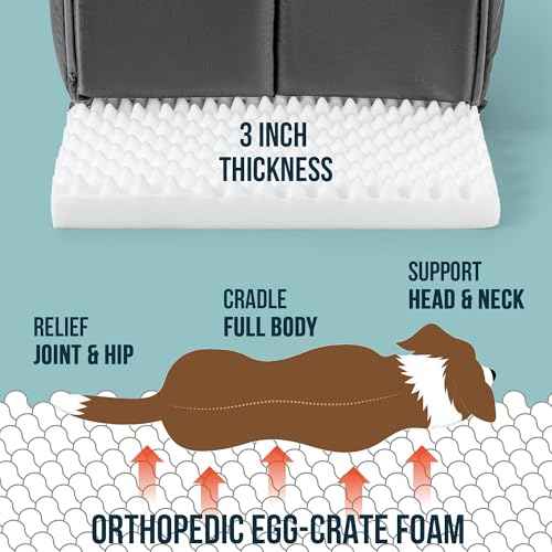 Orthopedic Dog Bed House (41"L x 27"W x 28"Th / Charcoal)