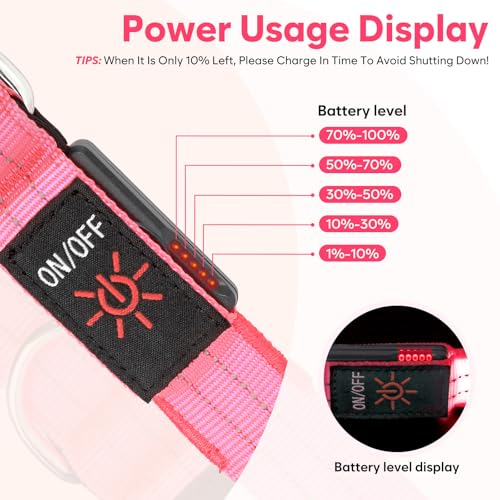 LED Dog Leash (Pink)