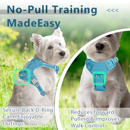 No Pull Dog Harness for Small Sized Dogs (Small(Chest:19.5-26”) / Ocean Blue)
