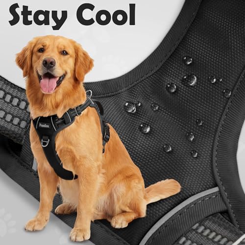 Dog Harness Small Sized Dog (Black / Small)