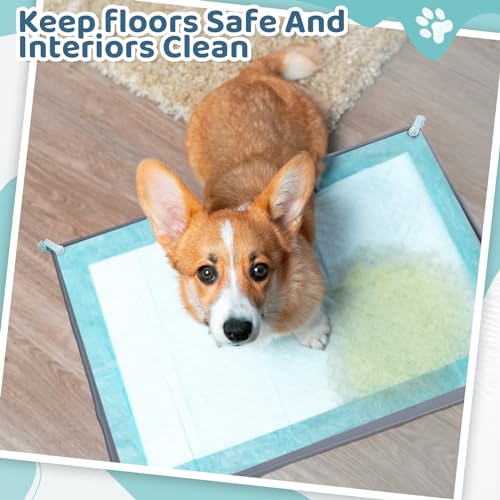 1 Dog Pee Pad Holder Puppy Pad Tray 30 x 24 Inch (Gray)
