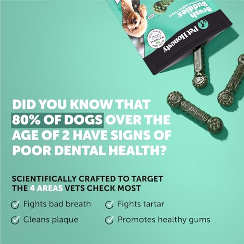 Brush Buddies Vet Backed Dog Dental Chews (25 Count (Pack of 1))