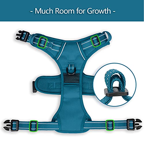 No Pull Dog Harness (XS / Tumalo Teal)