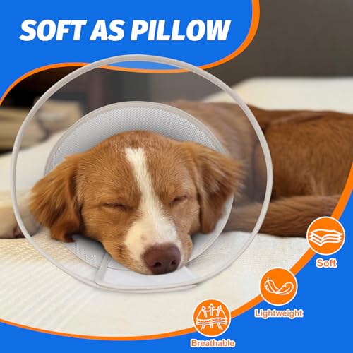 Dog Cone Collar with Soft Liner to Stop Licking (Grey / XS(Depth: 6.1, Girth: 9.5-11.5 ))