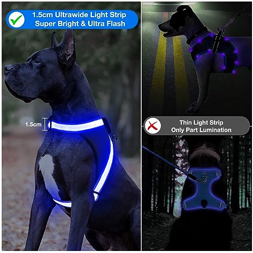 Light Up Dog Harness (Extra Large / Blue)