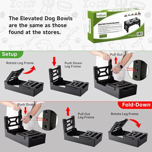 Elevated Dog Bowls (2 Stainless Steel Bowls / Black)
