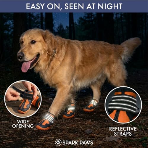 365 Dog Shoes (365 Black Orange / Size 8: 3"x3.35"(W*L) (Pack of 4))