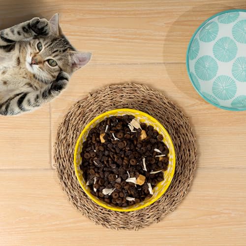 5.6 Inch Ceramic Cat Bowls (5.6 Inch, Set of 6 / Assorted Colors)