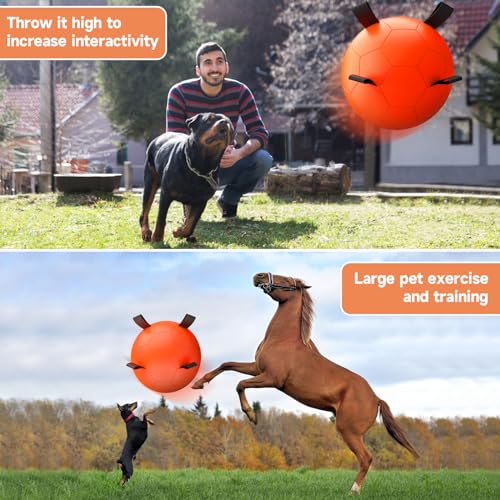 Herding Ball for Dogs (Herding Ball / 25 Inch)