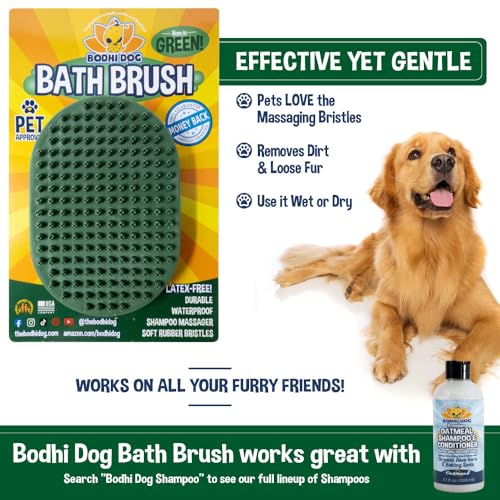 Shampoo Brush (1 Pack / Dark Green)