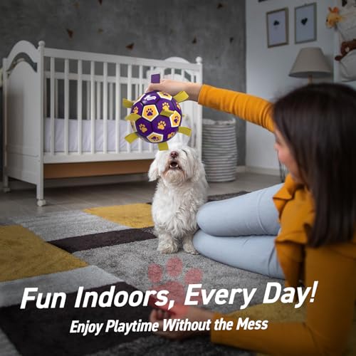Dog Balls Toys (Purple Yellow / 6 Inch)