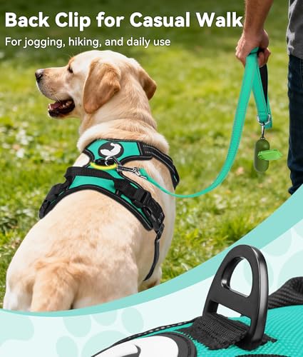 No Pull Dog Harness for Extra Large Dogs (X-Large / Teal)