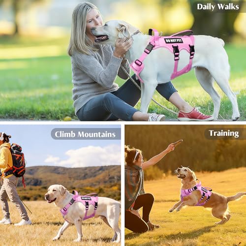 Escape Proof Dog Harness with Double Handle+4 Removable Patches (Large / Pink)