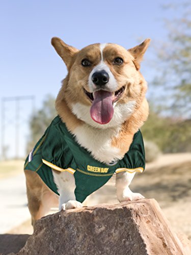 NFL GREEN BAY PACKERS DOG Jersey (X-Small / Green Bay Packers)