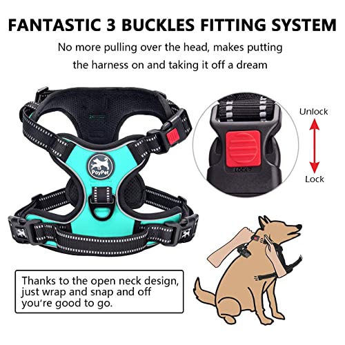 No Pull Dog Harness Large with Front Clip & Neck Release Buckle (Large / Mint Blue)