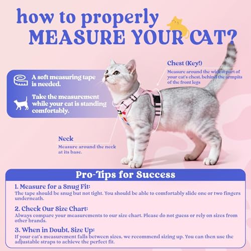Cat Harness and Leash Set (M / Purrty Pink)