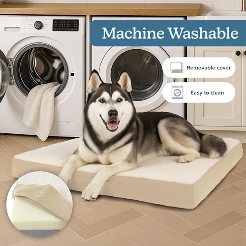 Orthopedic Dog Bed (Tan / X-Large)