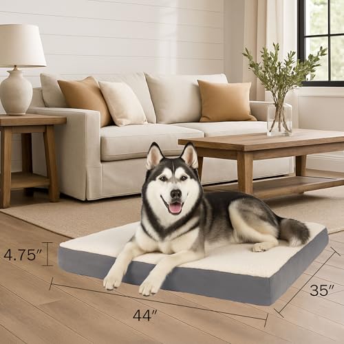Orthopedic Dog Bed (Gray / X-Large)