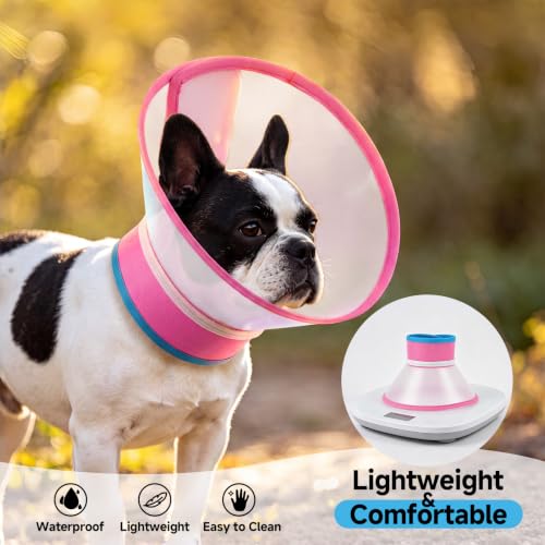 Dog Cone Collar to Stop Licking (Pink / Xl)