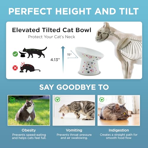 Necoichi Ceramic Raised Cat Food Bowl (Sakura / Regular Tilted)