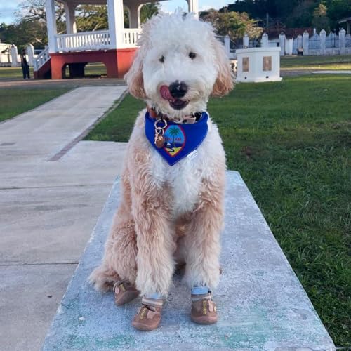 Dog Shoes for Hot Pavement (Size 5: 2.4''x2.8''(W*L) (Pack of 4))
