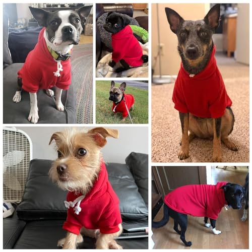 Dog Hoodie for Large Dogs (#2 Red(Plain) / X-Large (All Breed Sizes))