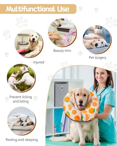 Inflatable Dog Cone (Tangerine / XL(21"-24"))