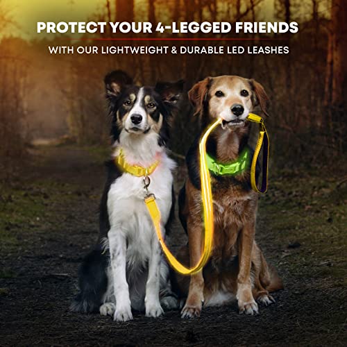 LED Light Up Dog Leash (4 Feet / Sunburst Yellow)
