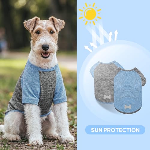 2Pack Dog Shirt for Small Dogs Sun Protection Tank Top with Sleeves (Small (4-7lbs) / 1# 2Pack(Blue+Grey))