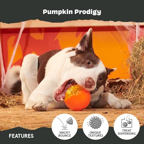 Pumpkin Prodigy Dog Toy (Medium / Pumpkin Prodigy)
