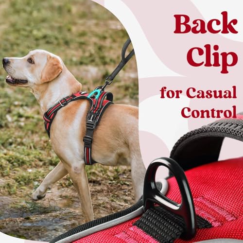 Dog Harness Medium Sized (Medium / Red)