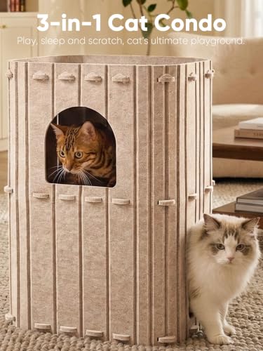 Cat House for Indoor Cats