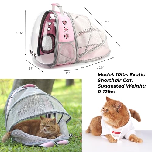 Cat Carrier Backpack (Back Expandable-Pink)