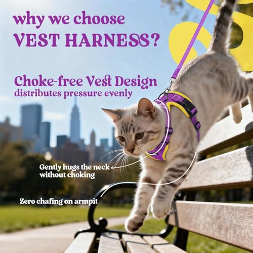 Cat Harness and Leash Set (M / Purple & Yellow)