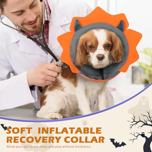 Inflatable Recovery Dog Collar (Grey Demon / Medium + (Neck:11''-13''))