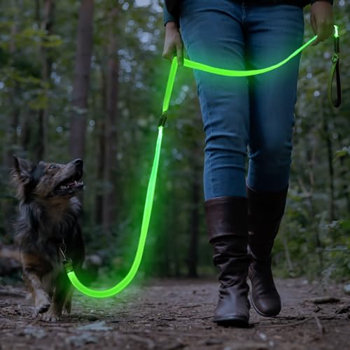 LED Light Up Dog Leash (Green / 6FT)
