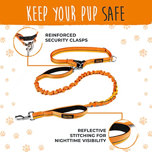 Hands Free Dog Leash (48" / Orange)