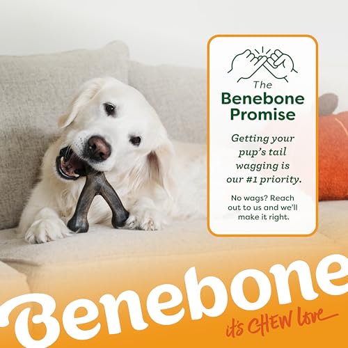 Wishbone Chew Toy for Aggressive Chewers (Small)