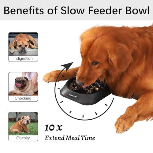 1 Pack Slow Feeder Dog Bowls (H-Black / Medium)