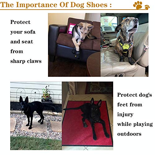 Dog Shoes for Hot Pavement (Size 6 / Black)