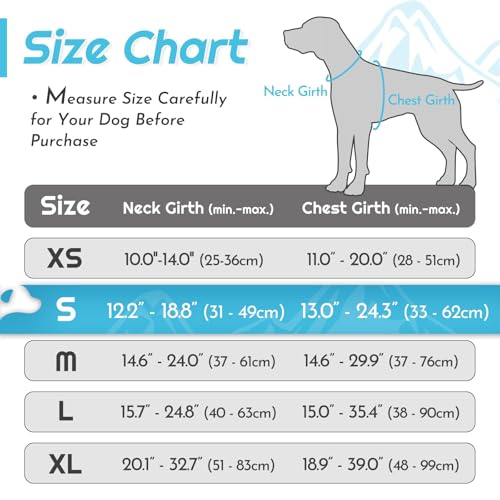 Dog Harness for Small Dogs (Small / Sky Blue)