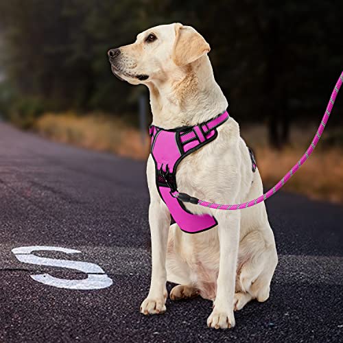 No Pull Dog Harness for Small Dogs (Fuchsia Pink / Small)