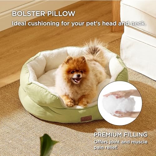 Small Dog Bed Washable (25"L x 21"W x 8"Th / Pale Bean Green)