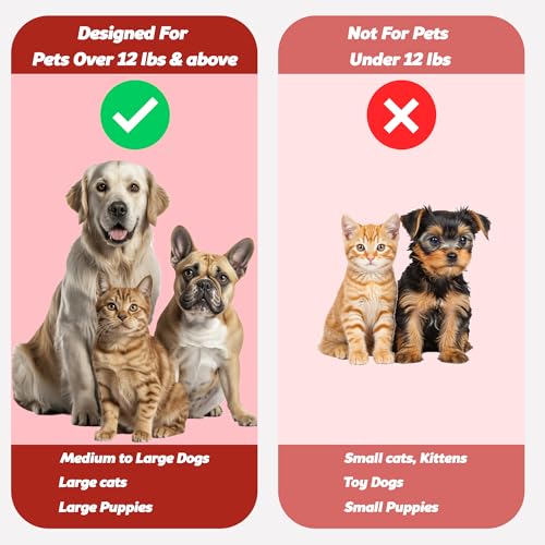 Pet Toothbrush for Dogs (Pack of 4(multi))