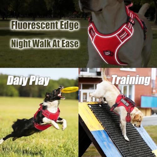 Dog Harness and Leash Set for Large Dogs (Red / L)