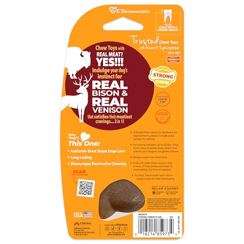 Strong Chew Femur Bone Dog Toy (Femur Bone / Small)