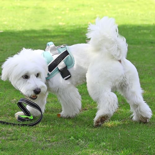 Dog Harness No (Medium (Pack of 1) / BabyBlue)