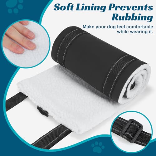 Dog Sling Adjustable Dog Lift Harness for Rear Legs (Large)